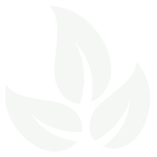 Minimalist leaf symbol